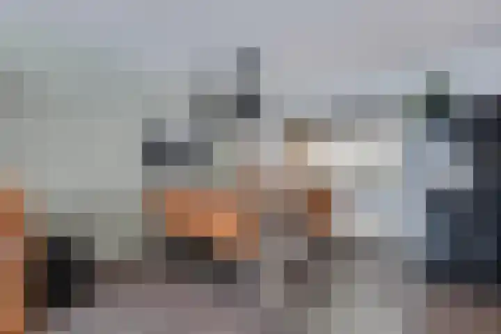 Het Klif 22 Kraggenburg thumbnail 21
