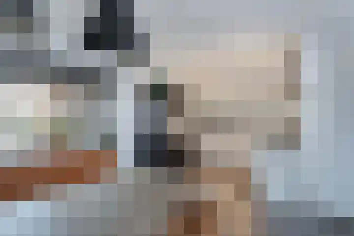 Het Klif 22 Kraggenburg thumbnail 22