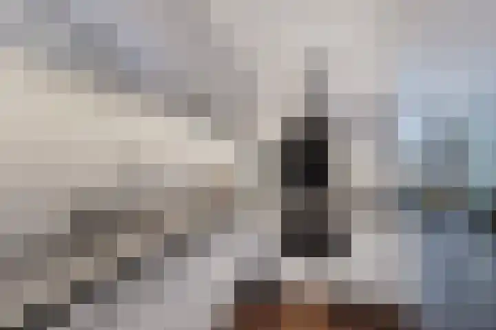 Het Klif 22 Kraggenburg thumbnail 25