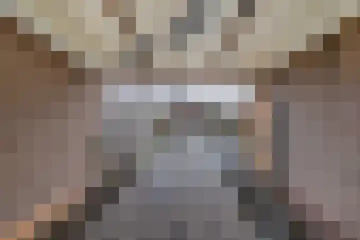 Het Klif 22 Kraggenburg thumbnail 27