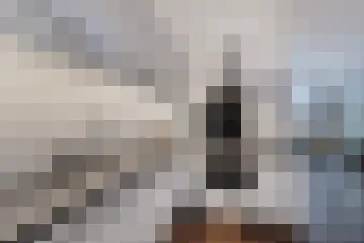 Het Klif 22 Kraggenburg foto 3