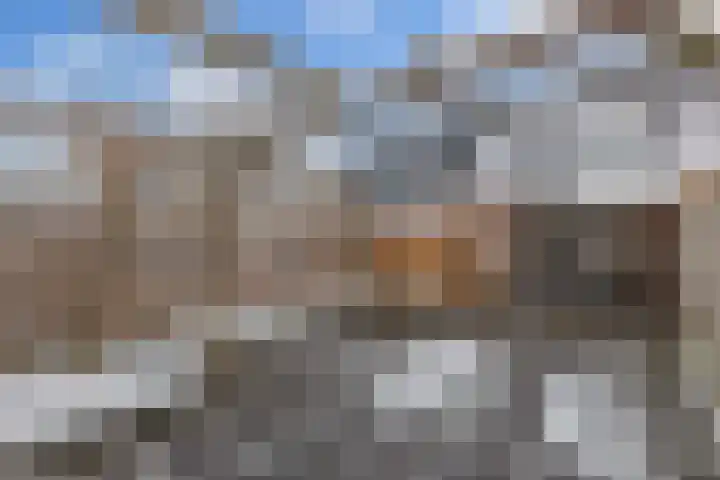 Het Klif 22 Kraggenburg thumbnail 31