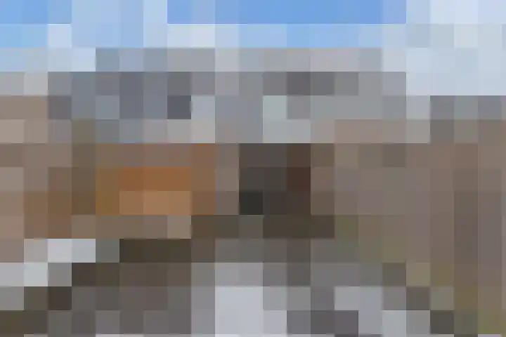 Het Klif 22 Kraggenburg thumbnail 32