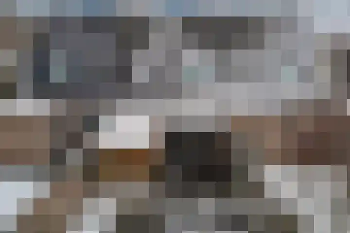 Het Klif 22 Kraggenburg thumbnail 33