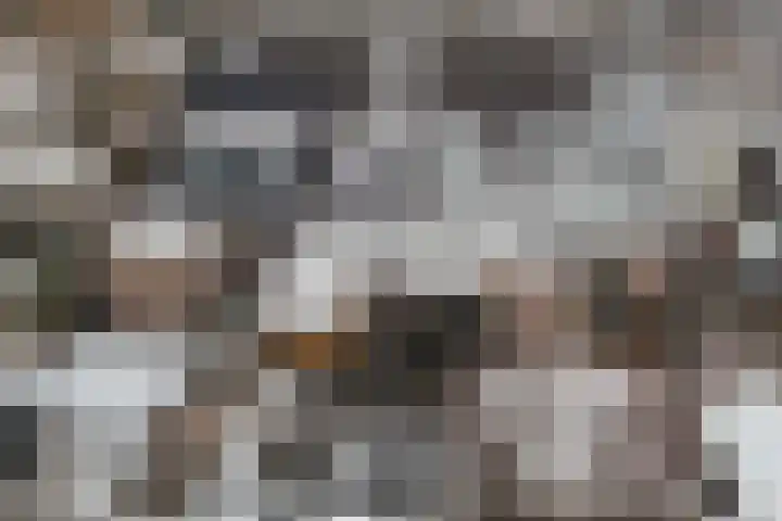 Het Klif 22 Kraggenburg thumbnail 34