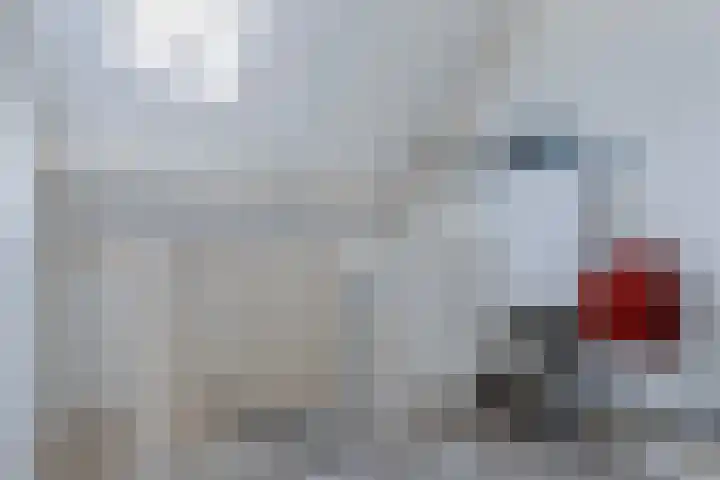 Het Klif 22 Kraggenburg thumbnail 44