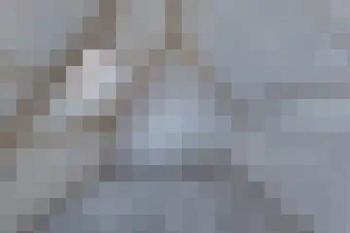 Het Klif 22 Kraggenburg thumbnail 45