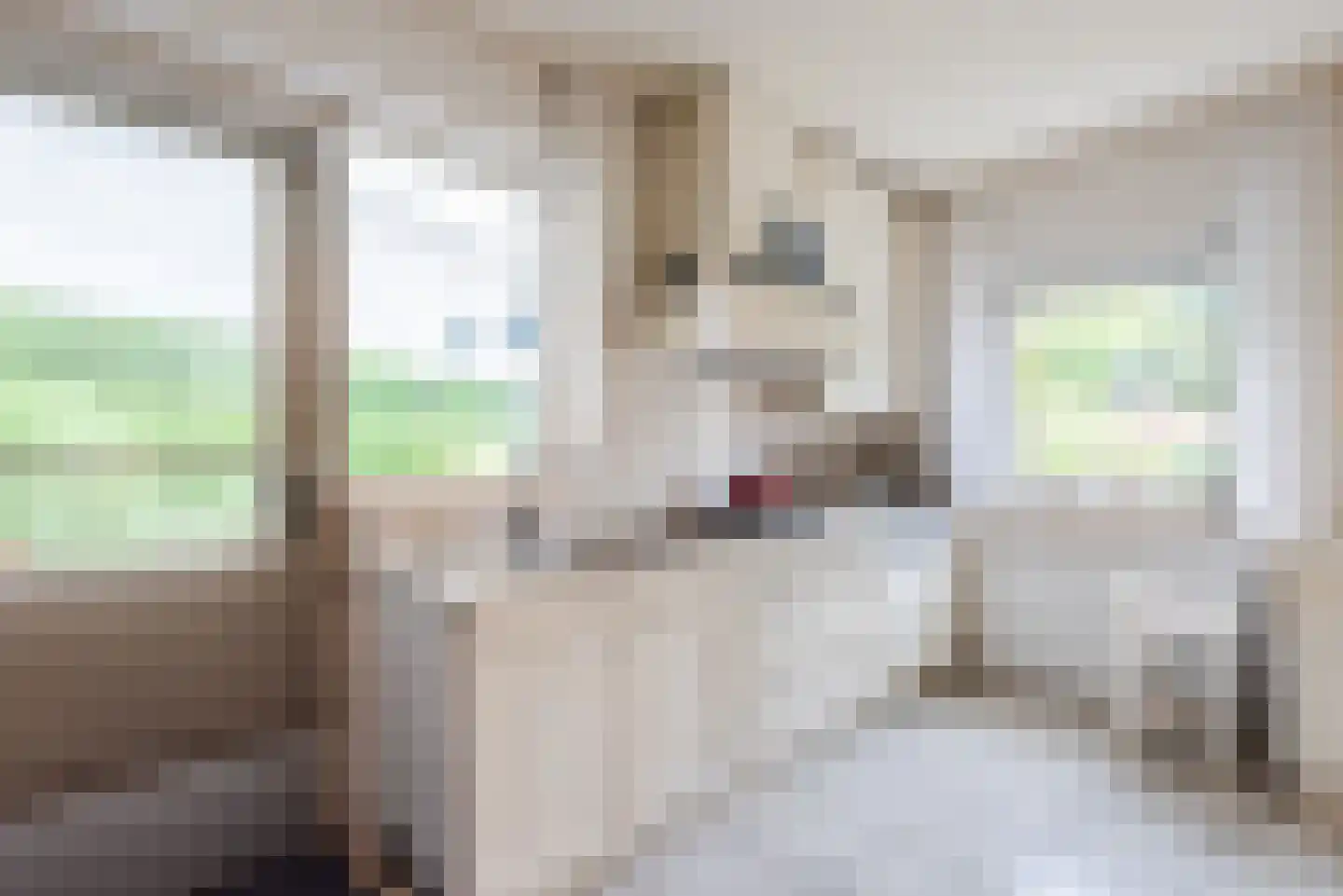 Het Klif 31 Kraggenburg thumbnail 18