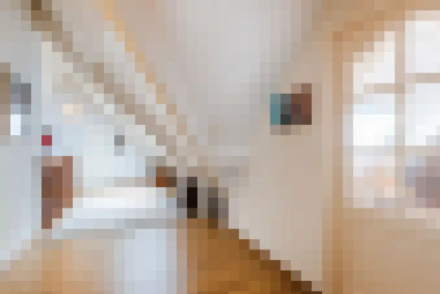 Het Klif 31 Kraggenburg thumbnail 31