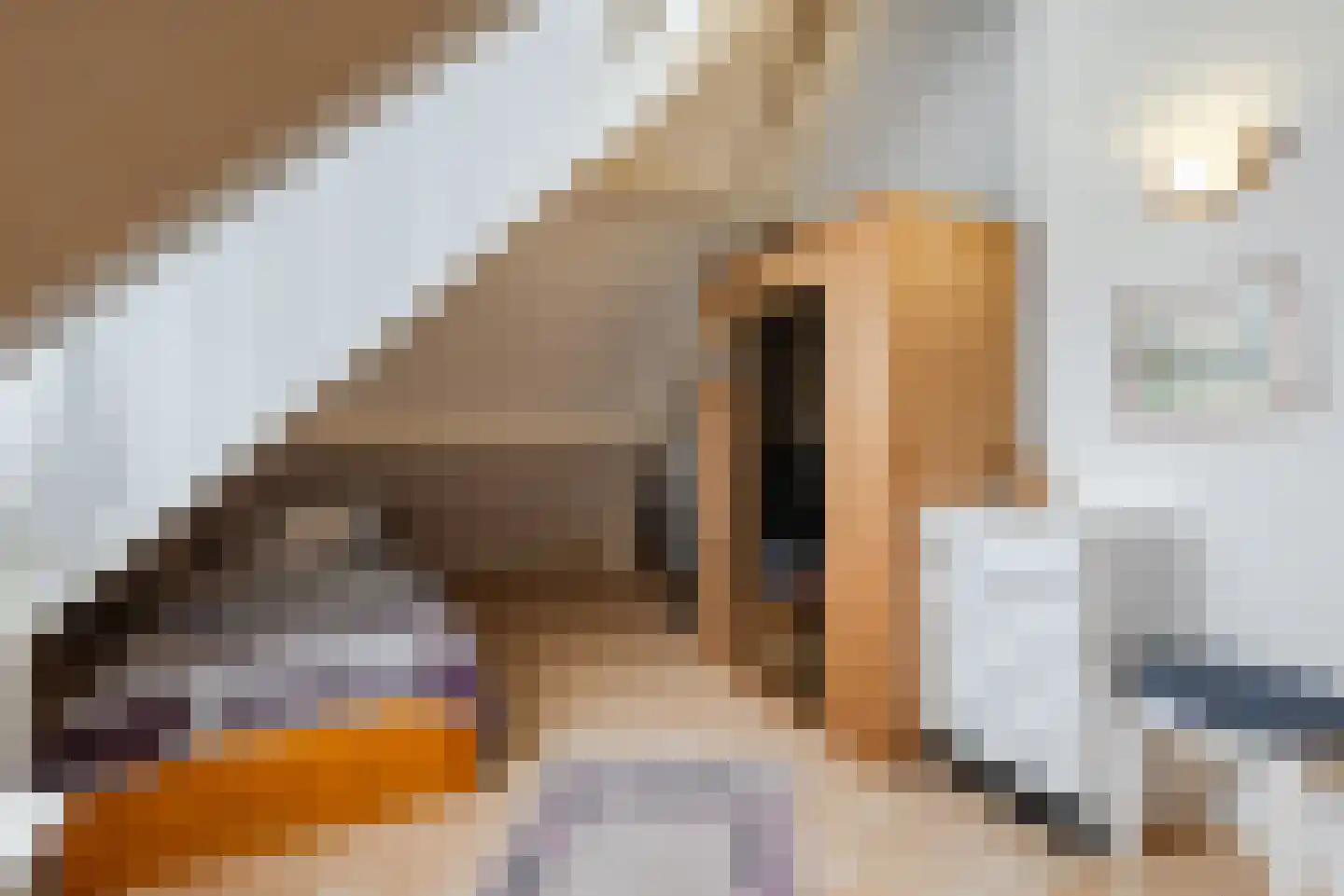Het Klif 31 Kraggenburg thumbnail 36