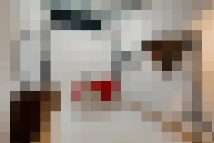 Het Klinket 35 Amersfoort thumbnail 27