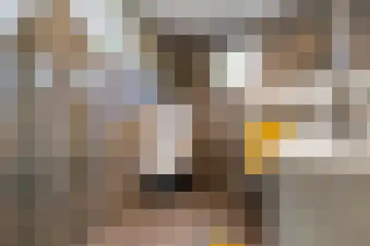 Het Klinket 35 Amersfoort thumbnail 5