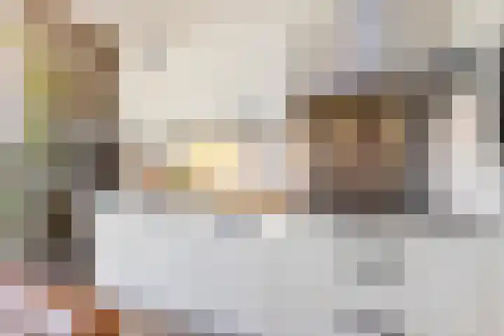 Het Klokkediep 113 's-Hertogenbosch thumbnail 12