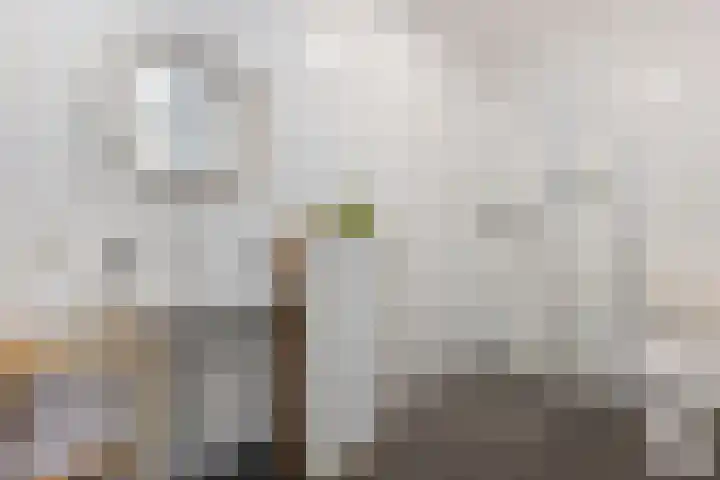 Het Klokkediep 113 's-Hertogenbosch thumbnail 28