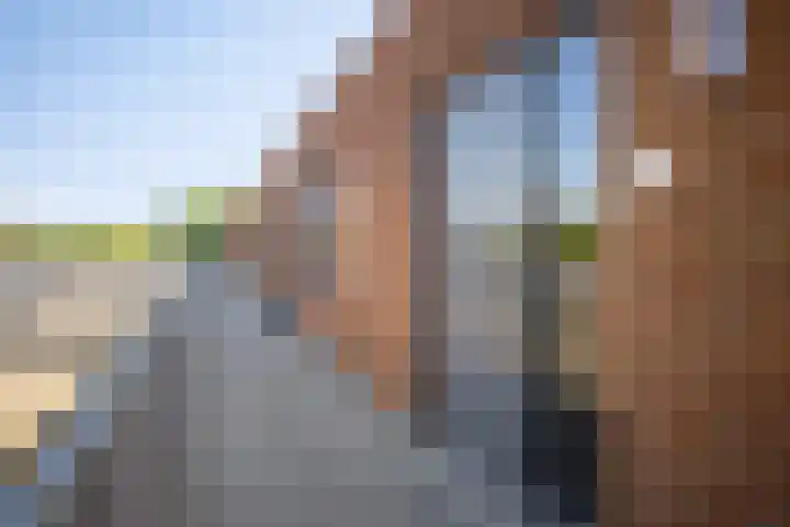 Het Klokkediep 113 's-Hertogenbosch thumbnail 6