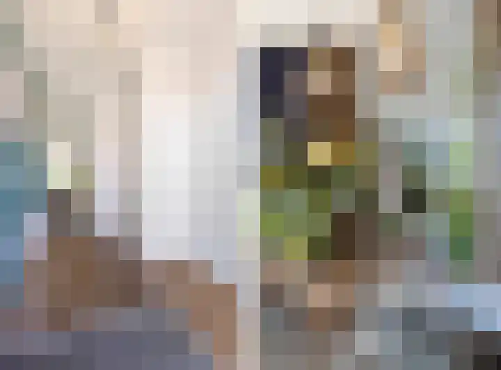 Het Klokkediep 113 's-Hertogenbosch thumbnail 8