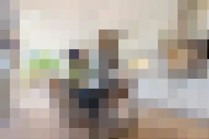 Het Klokkediep 113 's-Hertogenbosch thumbnail 9