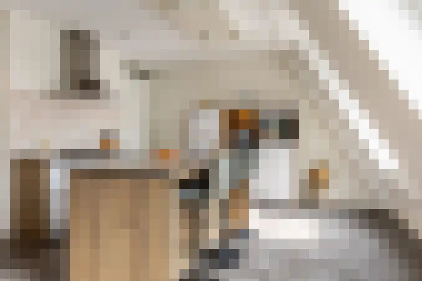 Het Klooster 1 e Schoonhoven thumbnail 17