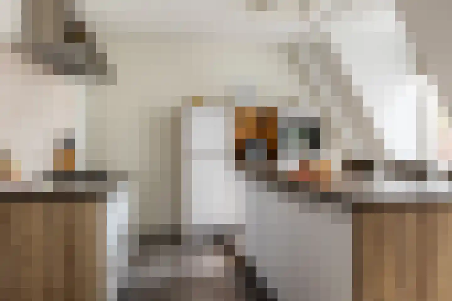 Het Klooster 1 e Schoonhoven thumbnail 19