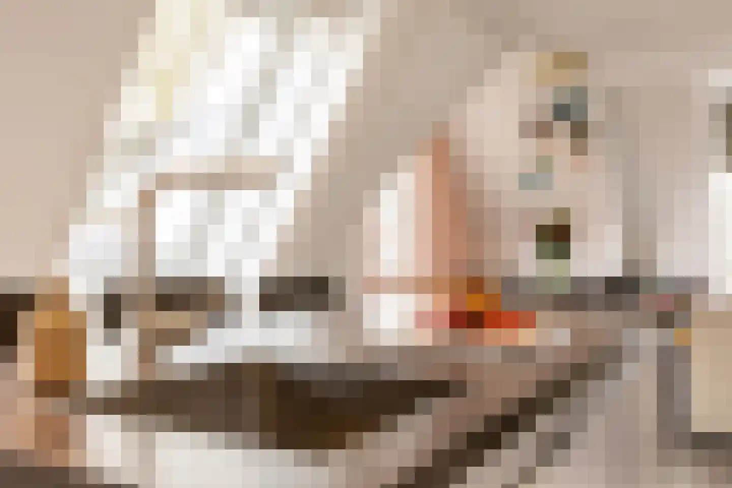 Het Klooster 1 e Schoonhoven thumbnail 21