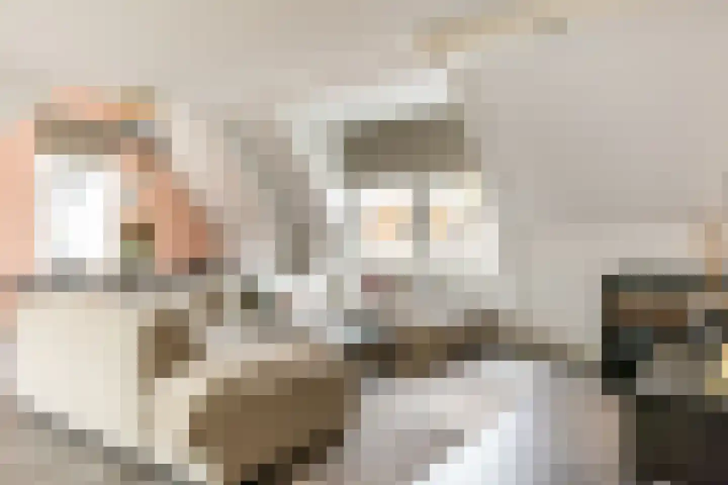 Het Klooster 1 e Schoonhoven thumbnail 4