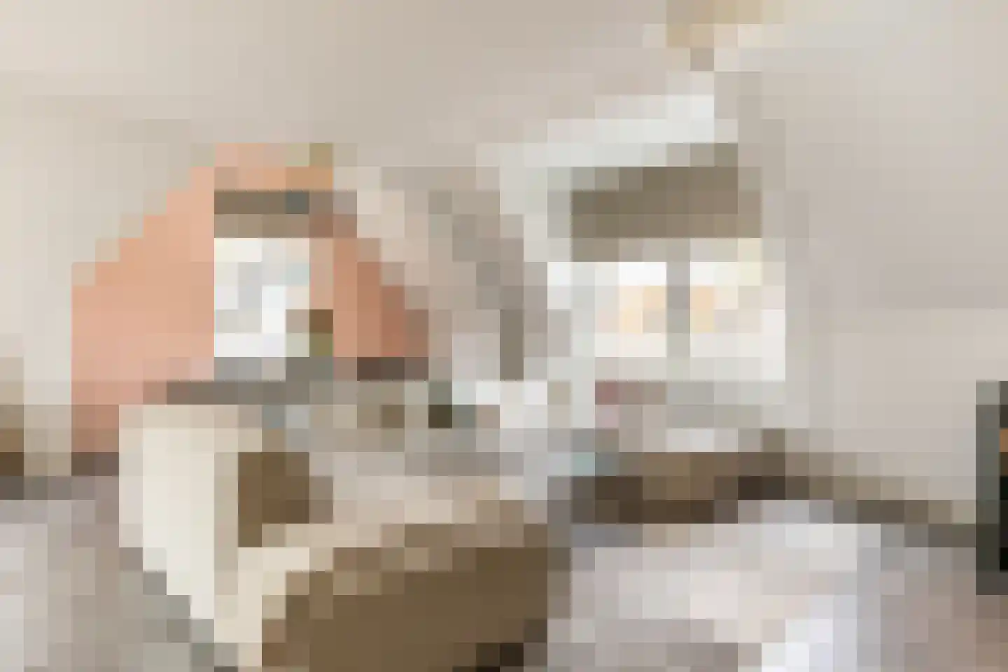Het Klooster 1 e Schoonhoven thumbnail 5