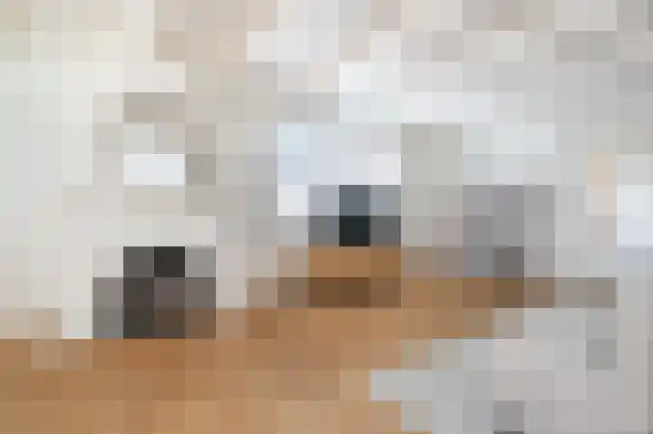 Het Klooster 1 Goedereede thumbnail 11