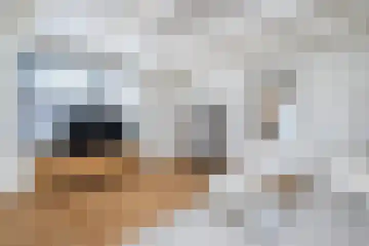 Het Klooster 1 Goedereede thumbnail 14