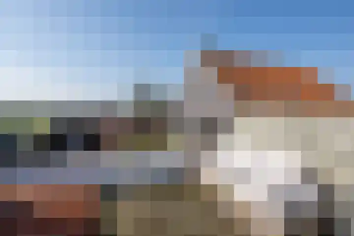 Het Klooster 1 Goedereede foto 3