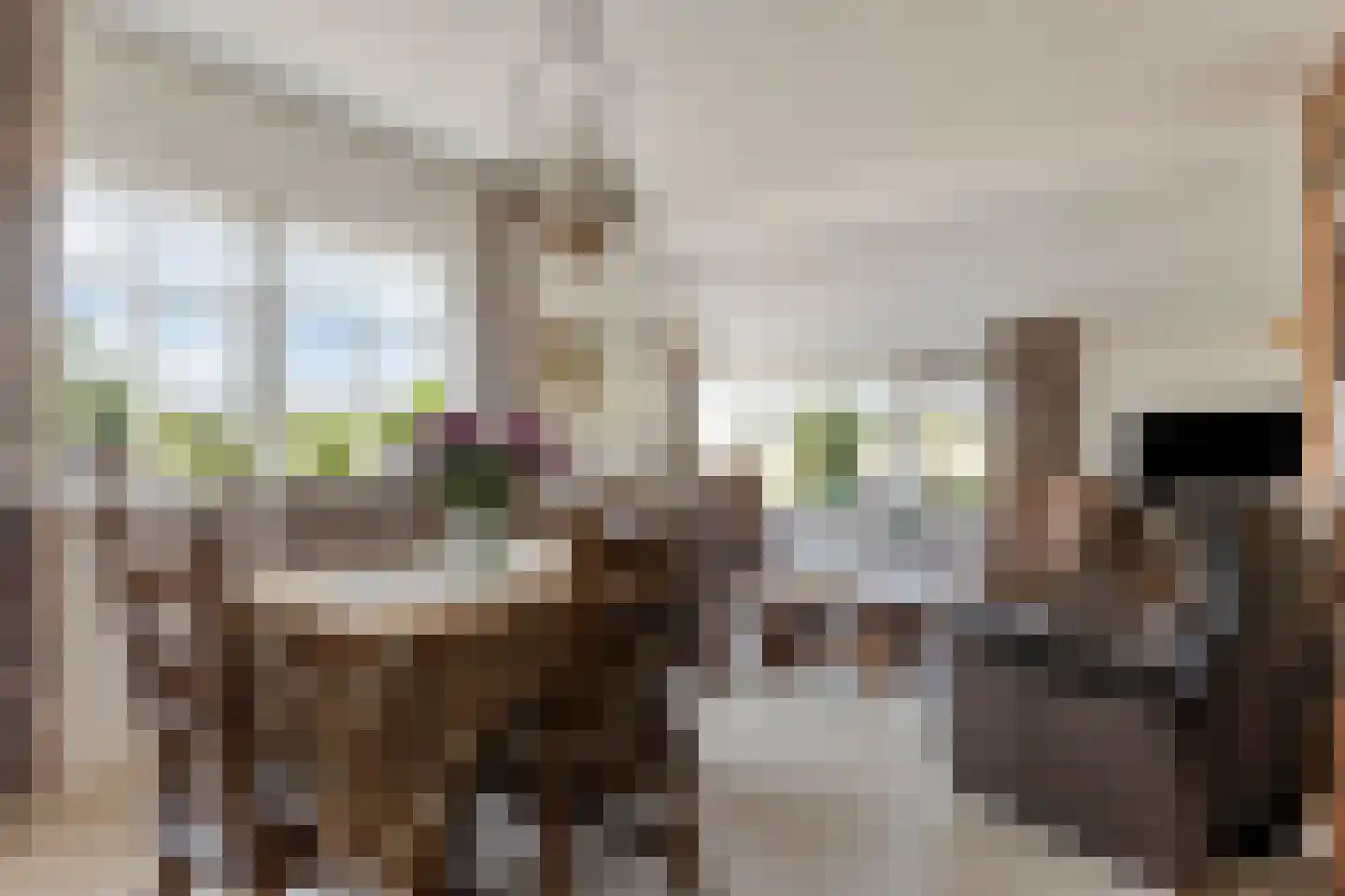 Het Klooster 18 Angerlo thumbnail 15