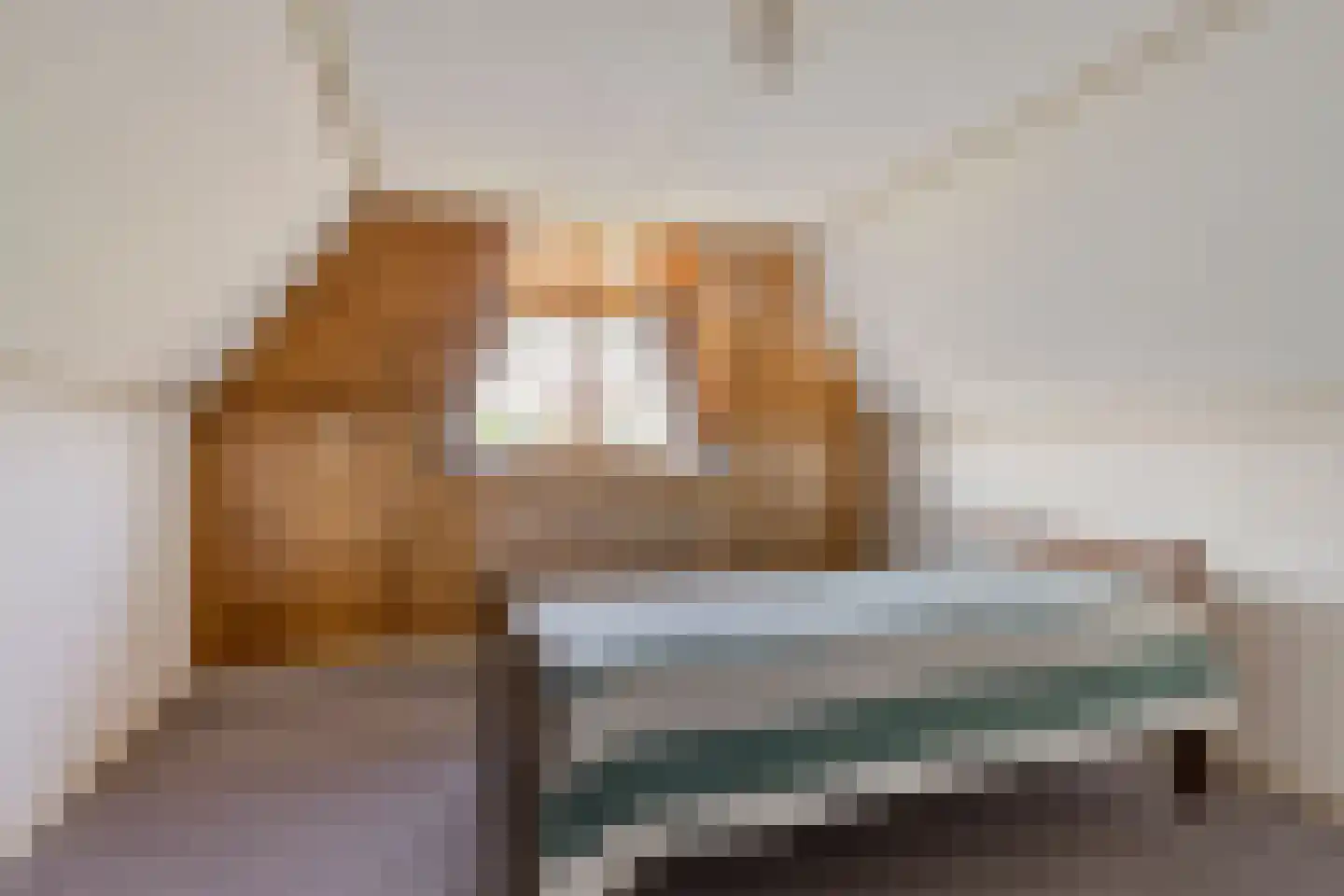 Het Klooster 18 Angerlo thumbnail 34