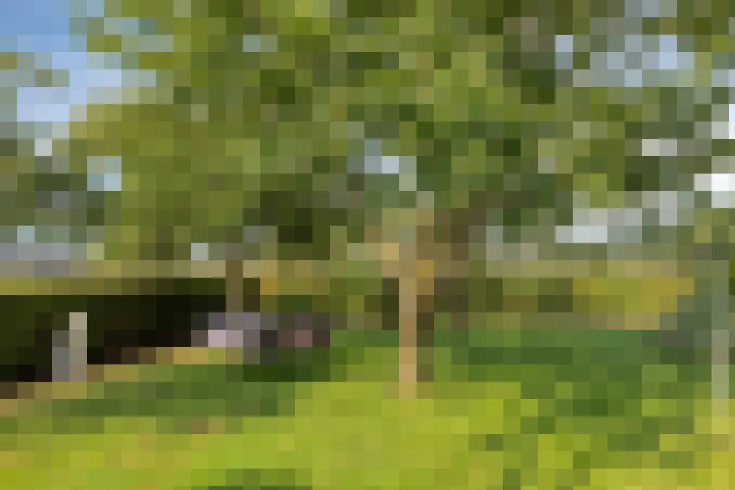 Het Klooster 18 Angerlo thumbnail 38