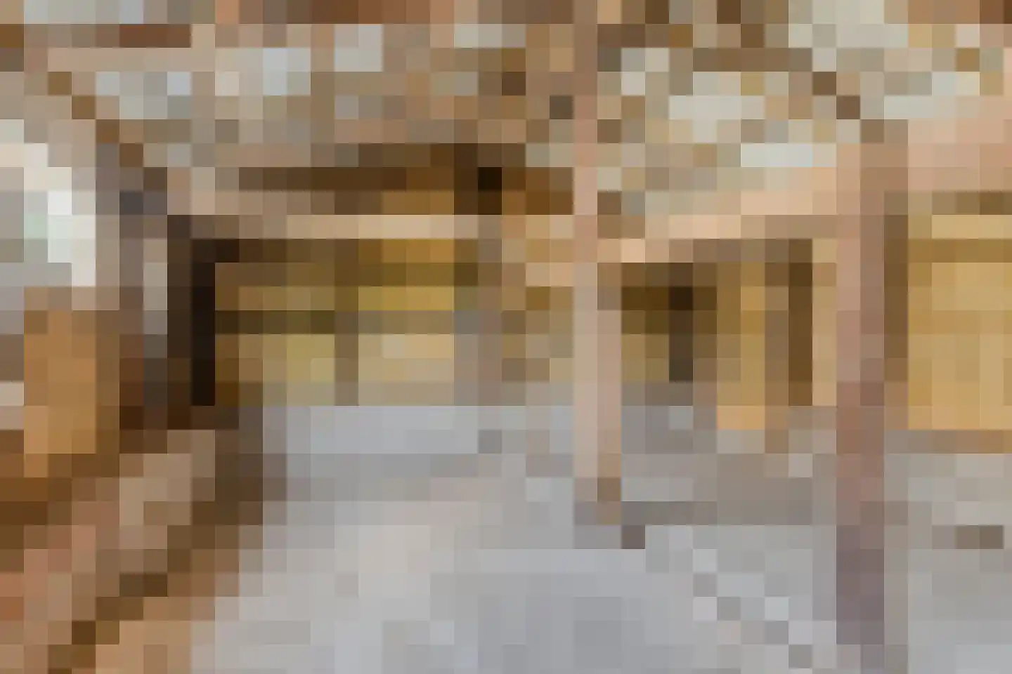 Het Klooster 18 Angerlo thumbnail 41