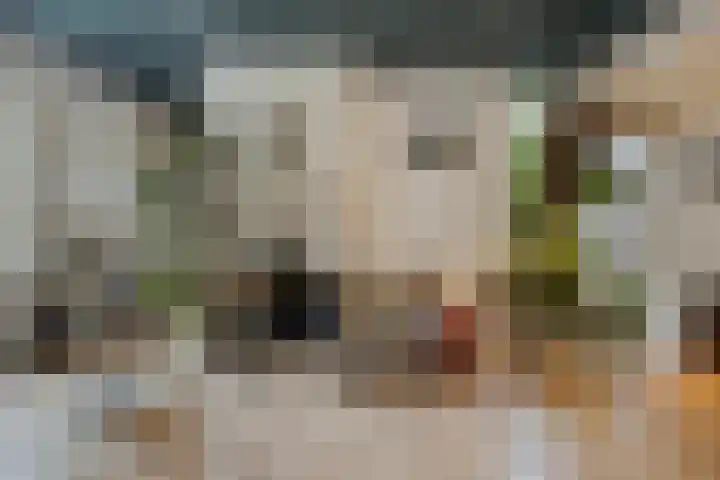 Het Klooster 3 Angerlo thumbnail 13