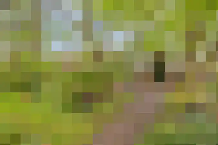 Het Klooster 3 Angerlo thumbnail 42