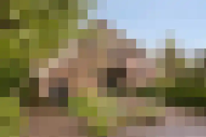 Het Klooster 3 Angerlo thumbnail 49