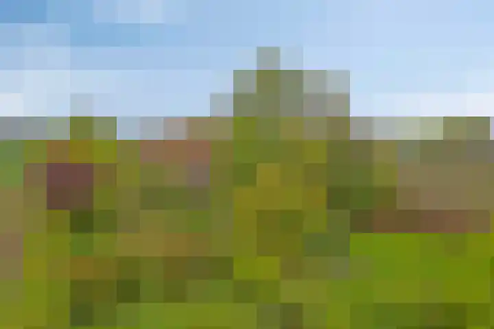 Het Klooster 3 Angerlo thumbnail 5