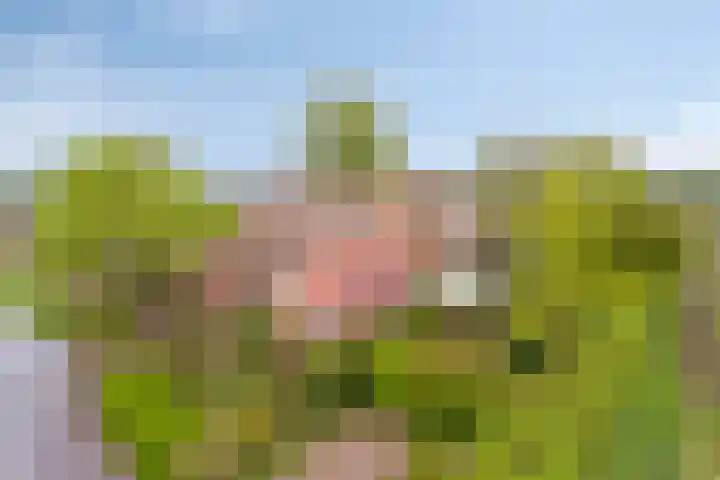 Het Klooster 3 Angerlo thumbnail 59