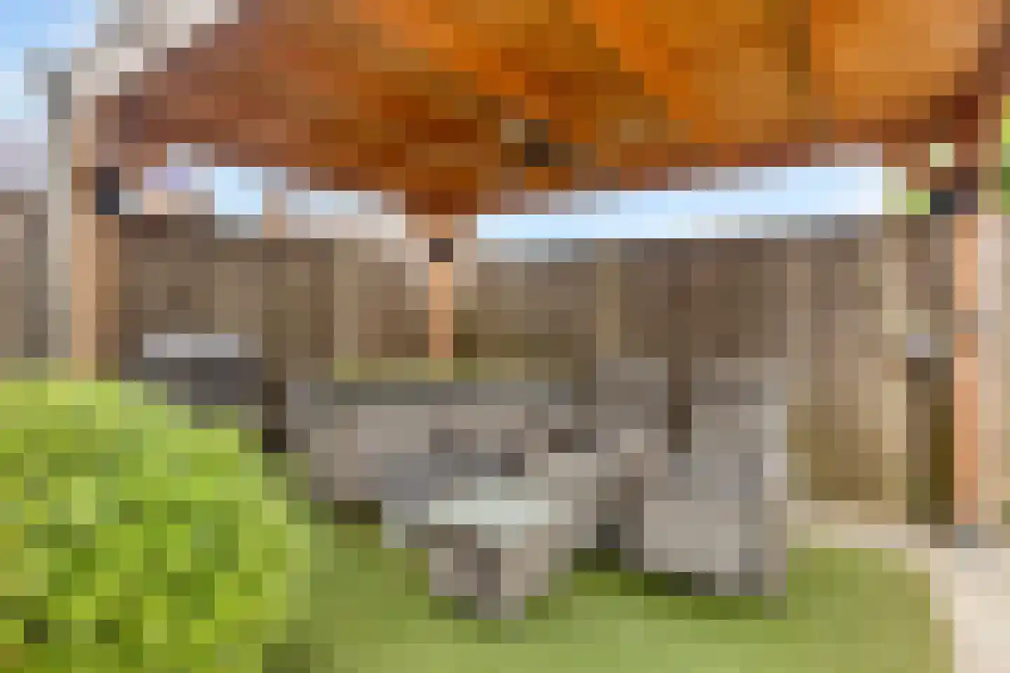 Het Klooster 3 's-Heerenberg thumbnail 29