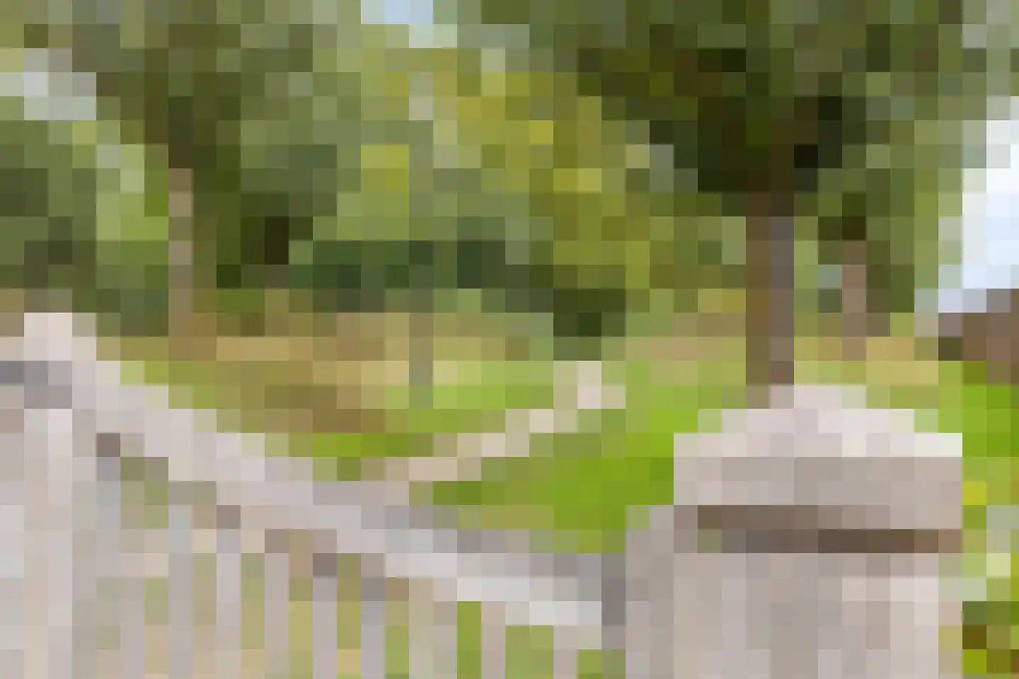 Het Klooster 3 's-Heerenberg thumbnail 30