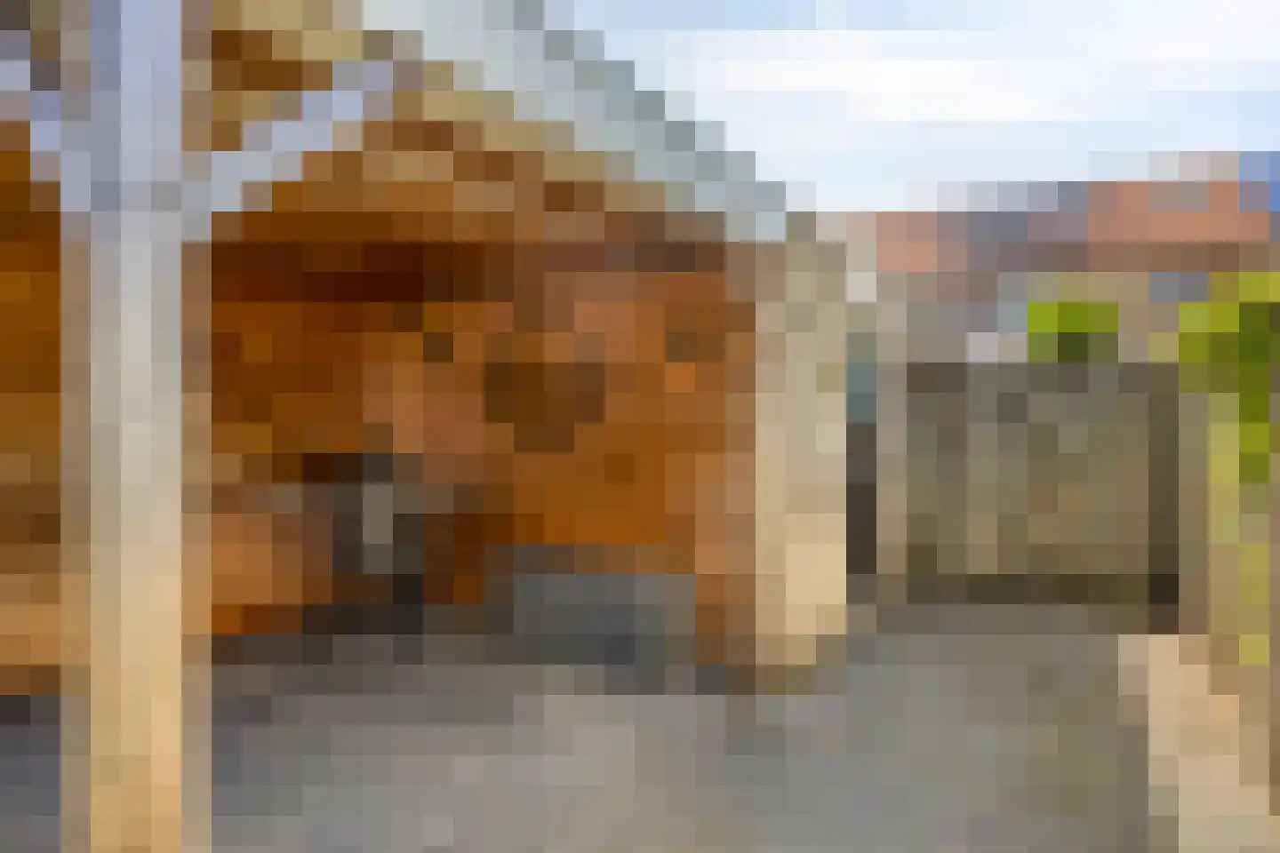 het Kloppenberg 19 Losser thumbnail 26