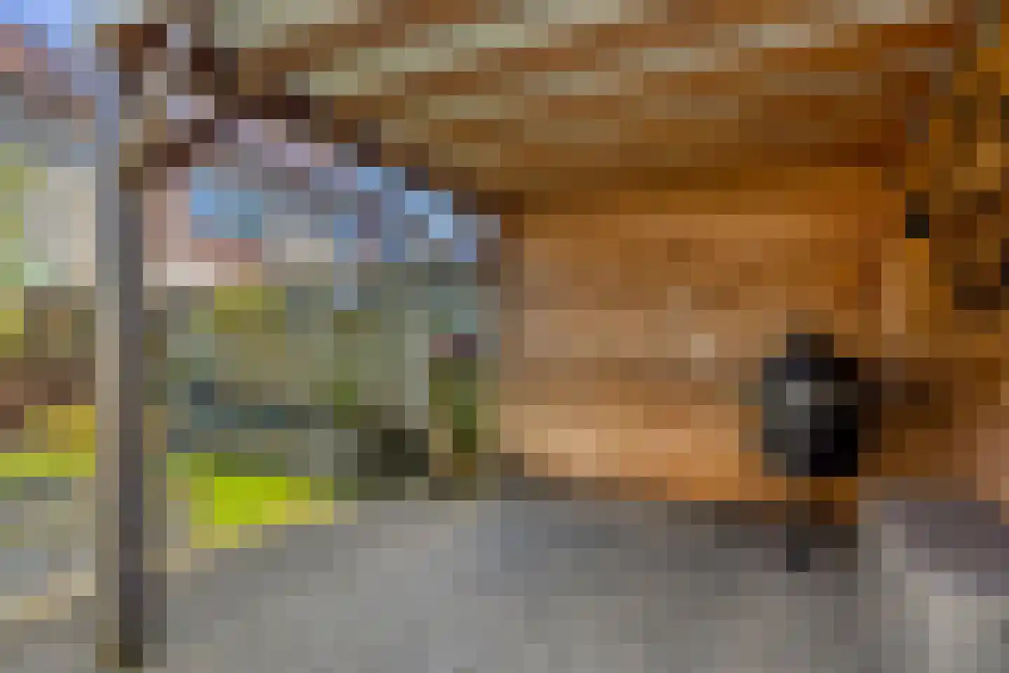 het Kloppenberg 19 Losser thumbnail 27