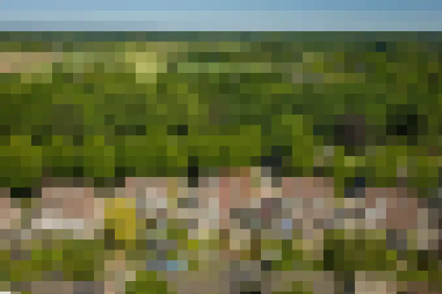 Het Koeland 1 Schalkhaar