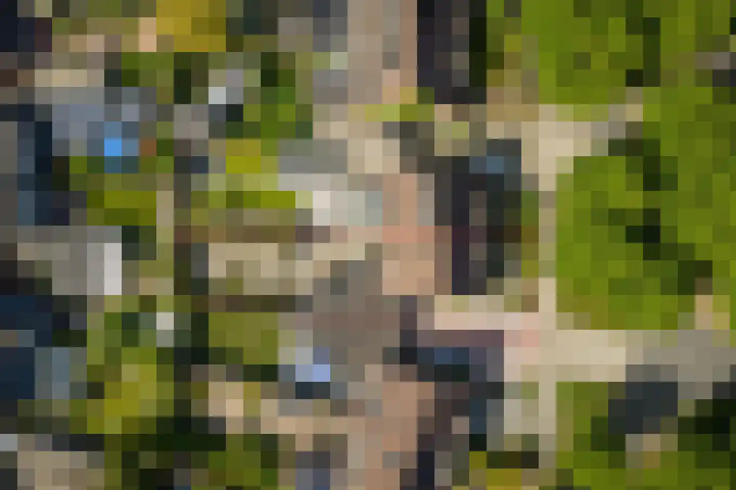 Het Koeland 1 Schalkhaar foto 2