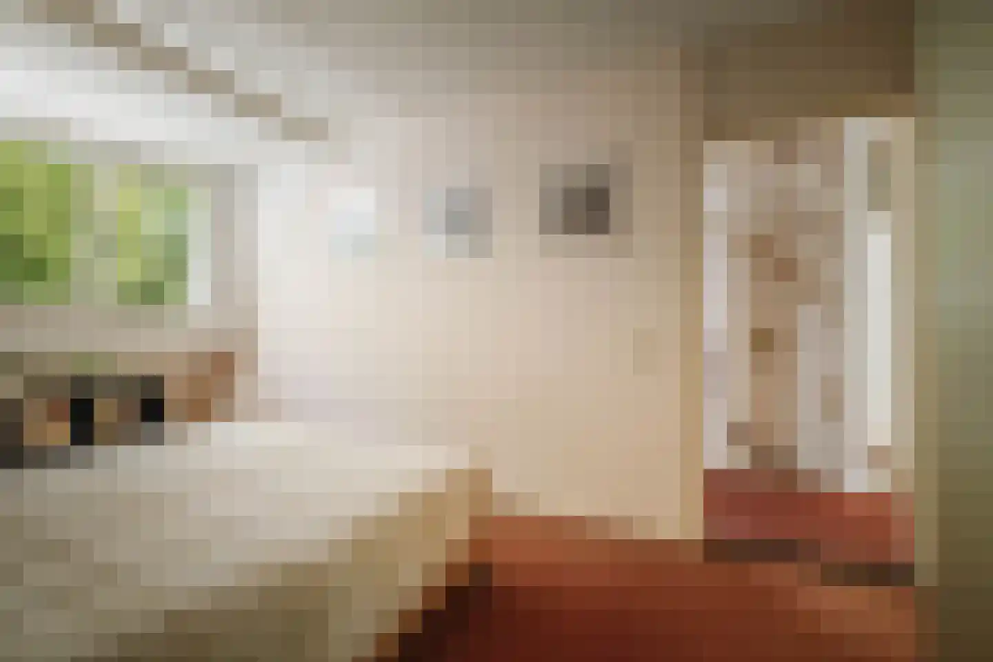 Het Koeland 1 Schalkhaar thumbnail 23