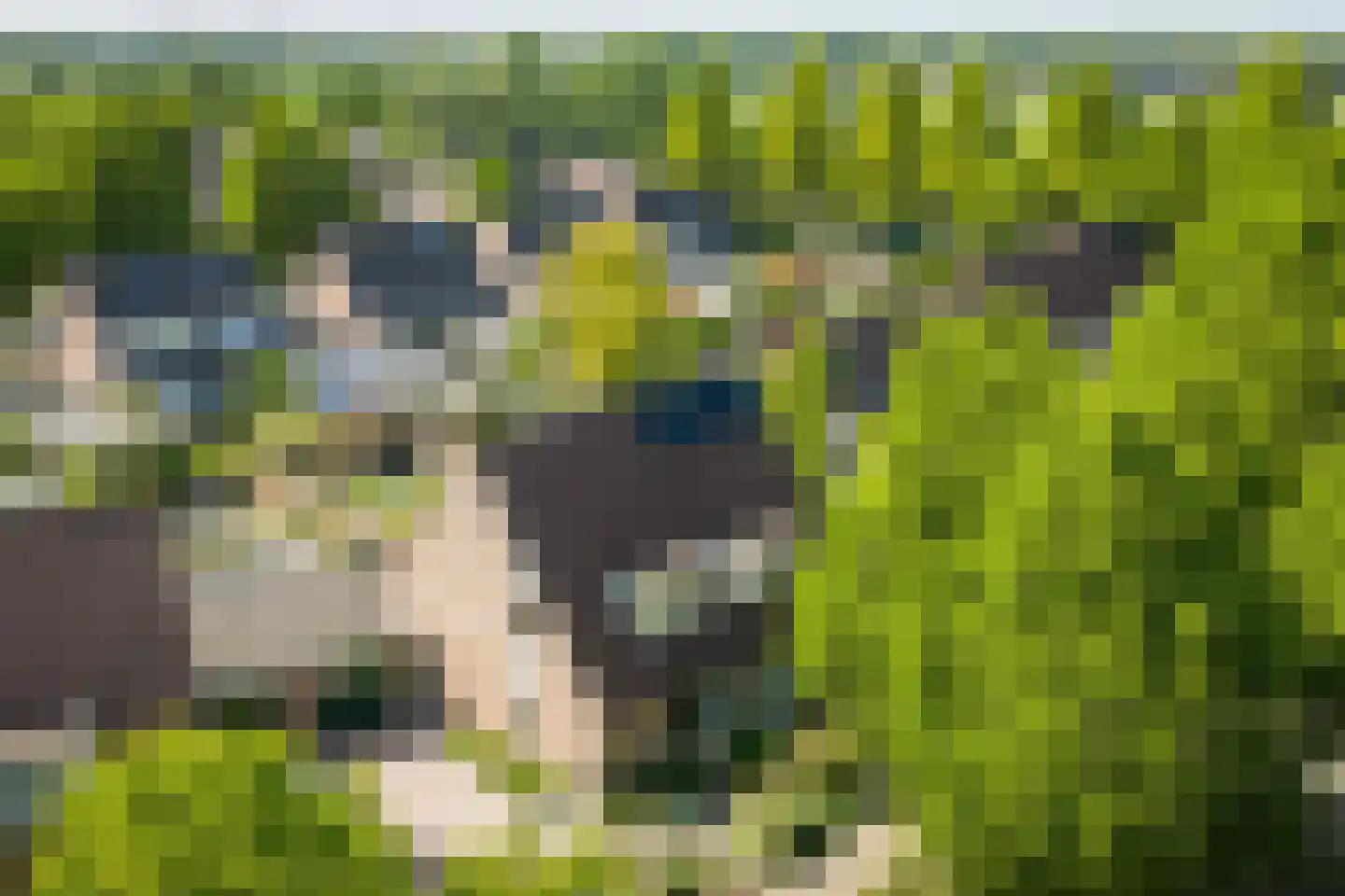Het Koeland 1 Schalkhaar foto 3