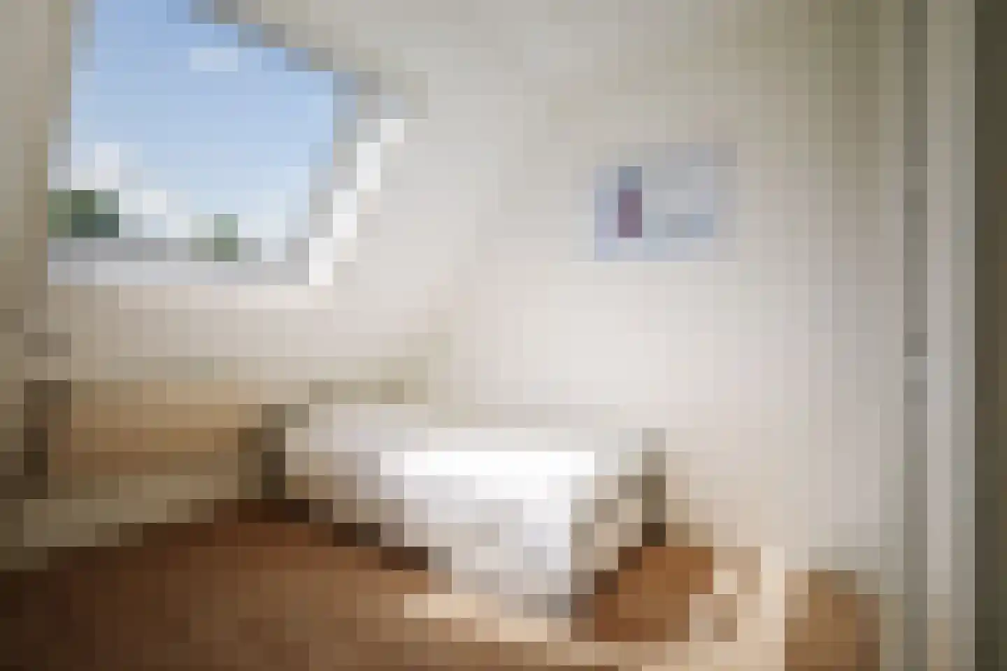 Het Koeland 1 Schalkhaar thumbnail 31