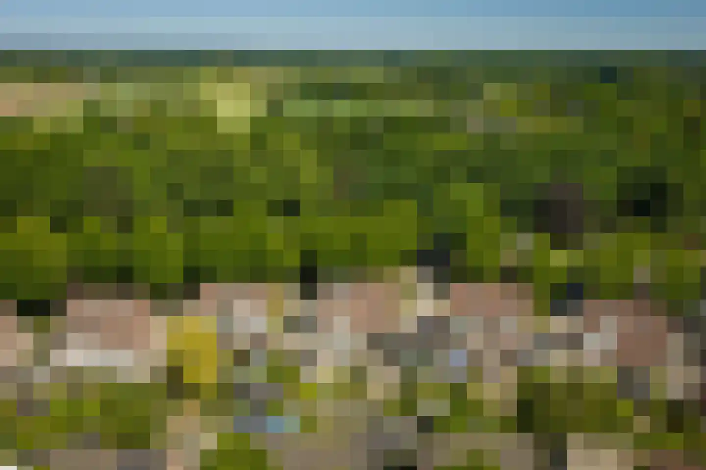 Het Koeland 1 Schalkhaar thumbnail 47