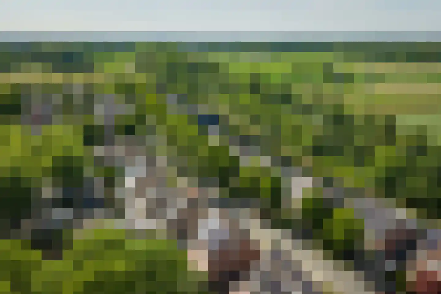 Het Koeland 1 Schalkhaar thumbnail 48