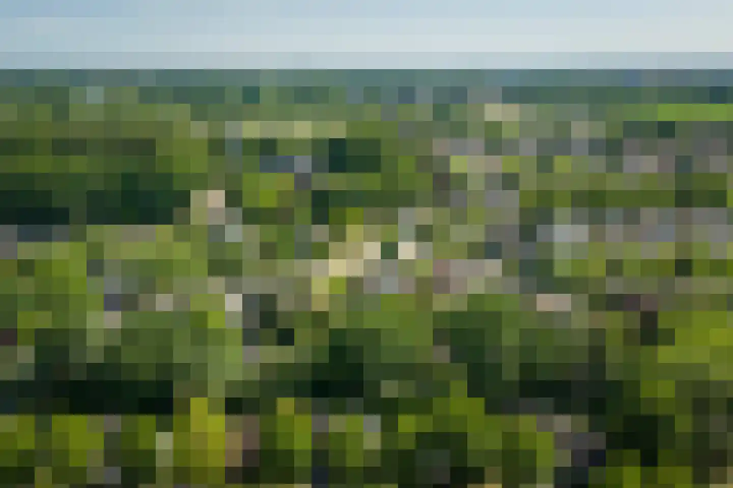 Het Koeland 1 Schalkhaar thumbnail 49